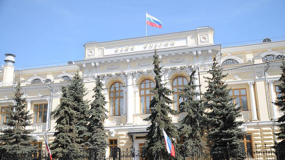 Rusya'dan küresel piyasalara 'zeytin dalı'