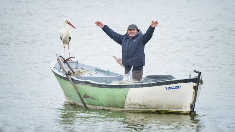 Yaren leylek yavrularını yeni yuvasında büyütüyor