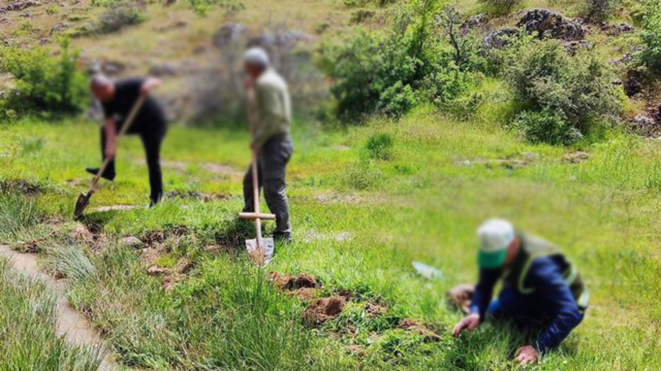 Salep soğanı toplayan 6 kişiye 680 bin lira ceza