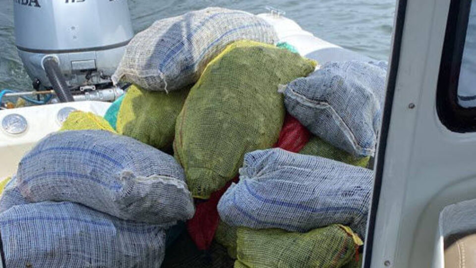 İzmir Körfezi'nde yasa dışı 'midye' avcılarına suçüstü