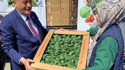 Erzincan'da çiftçilere 1 milyon 100 bin fide