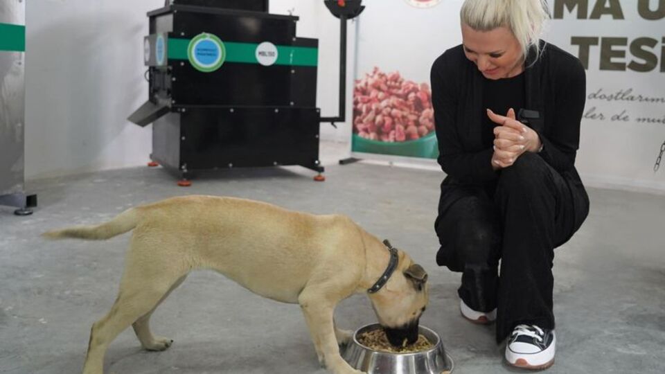 Bilecik'te gıda atıkları mama olacak