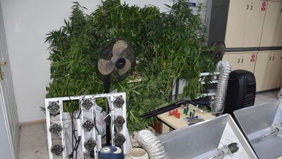 Konteynerde uyuşturucu yetiştirdiler: 2 gözaltı