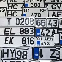 81 nerenin plakası?