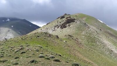 Üzerlerine yıldırım düşen 2 çoban yaralandı