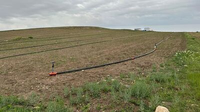 Ankara'da yıldırım düştü: 1 ölü