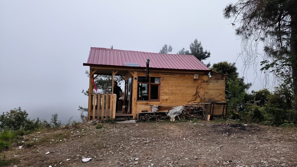 Hırsızlardan şüphelendi, fotokapanla gerçeği öğrendi