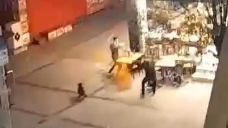 Pitbull ile gelip dehşet saçtılar!