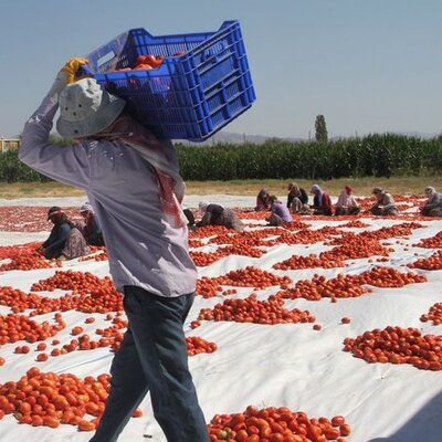 Mevsimlik işçinin hakları nedir?