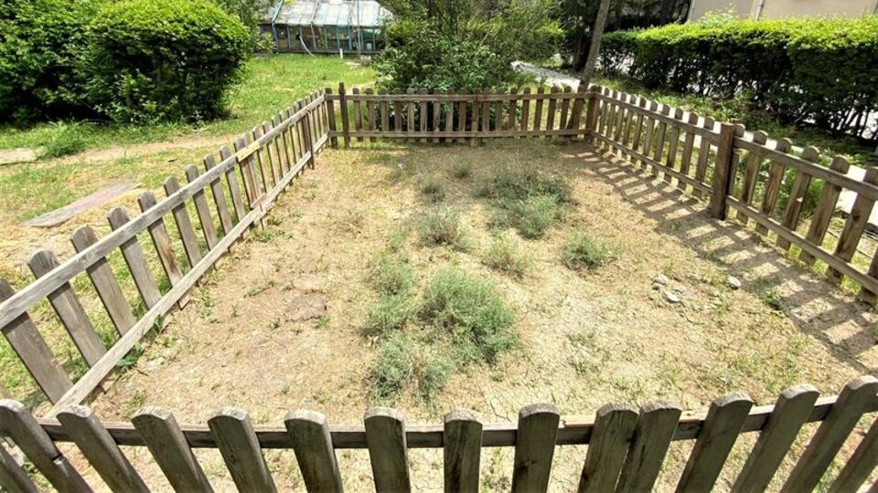 Endemik bitki türlerine koruma kalkanı