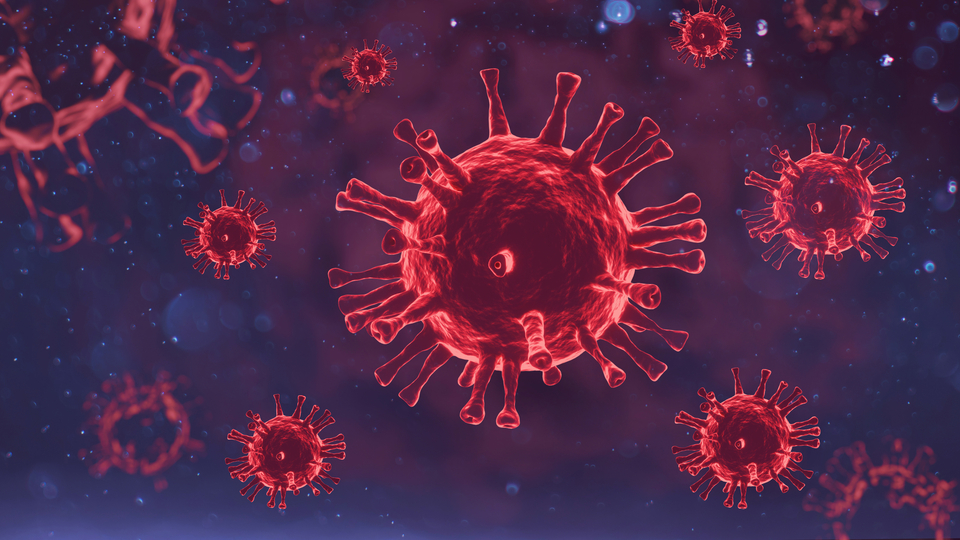 DSÖ'den kritik 'yeni salgın' açıklaması!