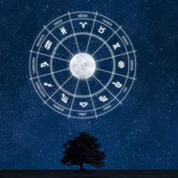 28 Ocak hangi burç?