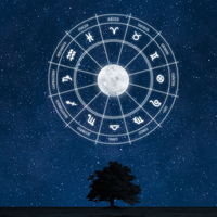 23 Temmuz hangi burç?