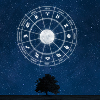 27 Temmuz hangi burç?