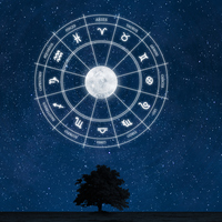 1 Ağustos hangi burç?