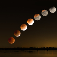 2 Ağustos hangi burç?