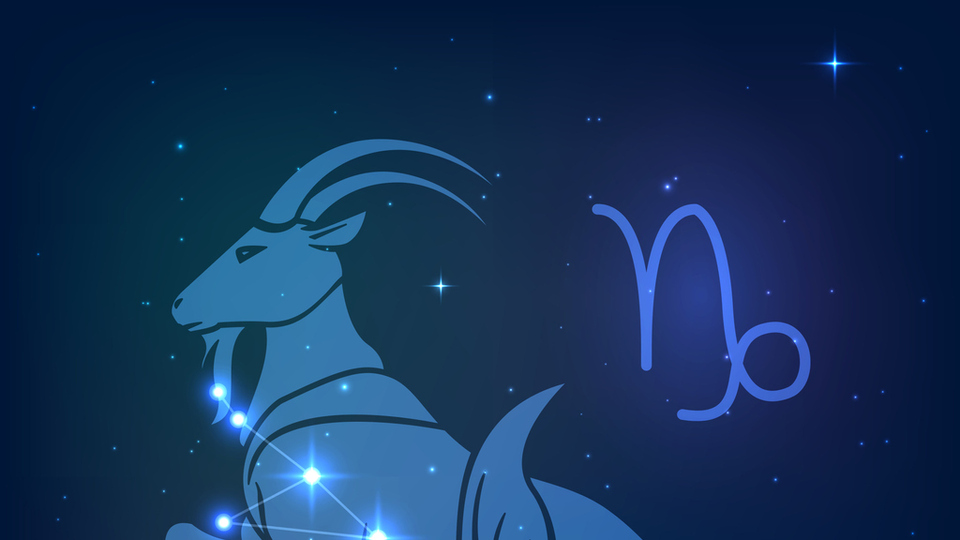 29 Mayıs hangi burç?