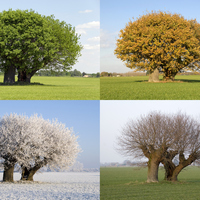 Sonbahar ayları neler?