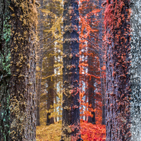 Kış ayları neler?