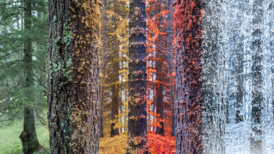 Kış ayları neler?