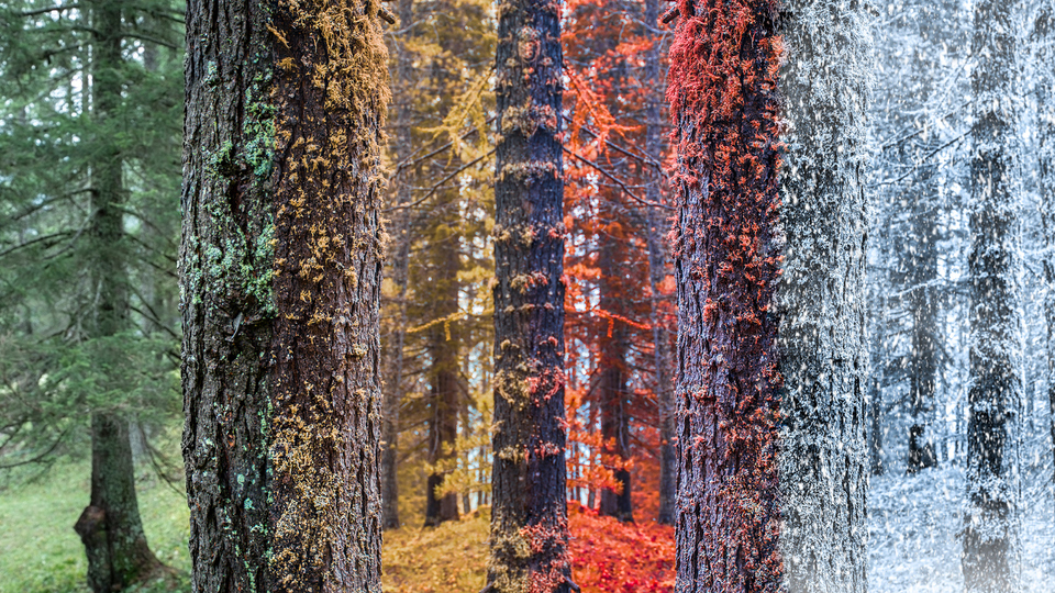 Kış ayları neler?