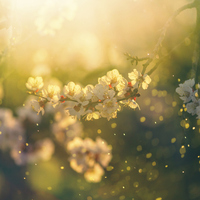 İlkbahar ayları neler?