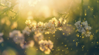 İlkbahar ayları neler?