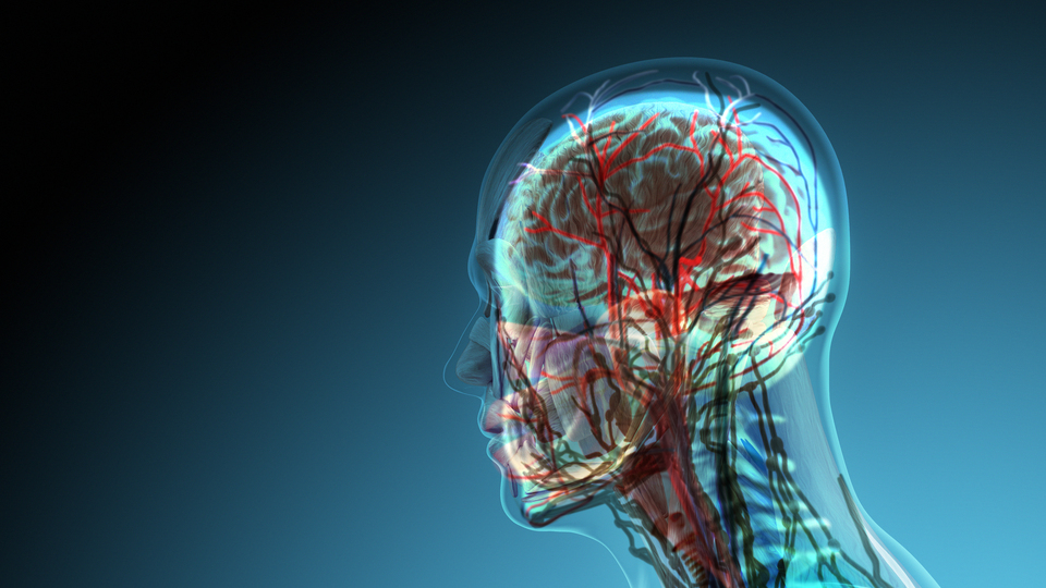 Kronik ağrıların beyindeki kaynağı incelendi! Hastalara umut olabilir