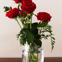 Gül nasıl çoğaltılır?