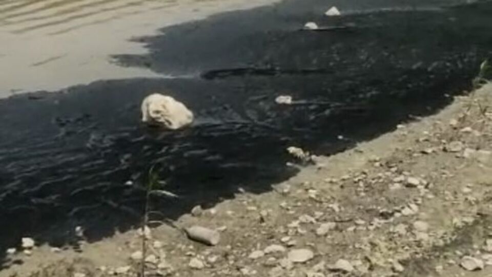 Tedirgin eden görüntü