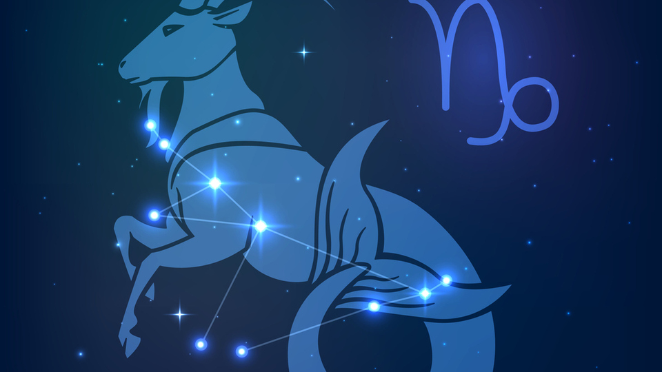 15 Kasım hangi burç?