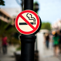 Günde bir paket sigara, ayda iki ağacın kesilmesine neden oluyor