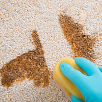 Çay lekesinden kurtulmak işte bu kadar basit!