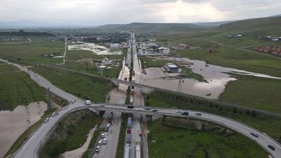 Uşak'ta yıldırım düştü, 18 küçükbaş hayvan öldü