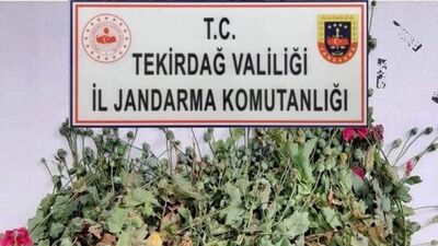 Saksıda haşhaş yetiştiren 2 kişi yakalandı