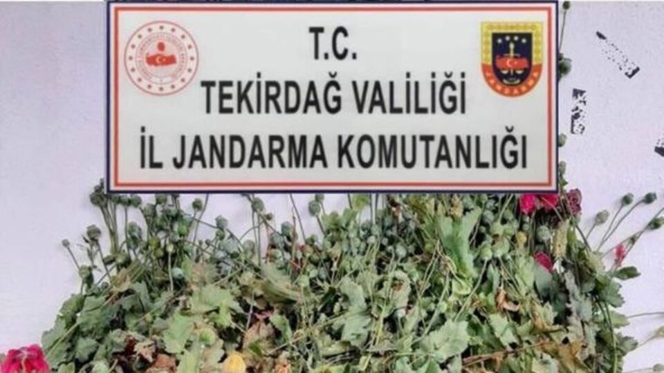 Saksıda haşhaş yetiştiren 2 kişi yakalandı