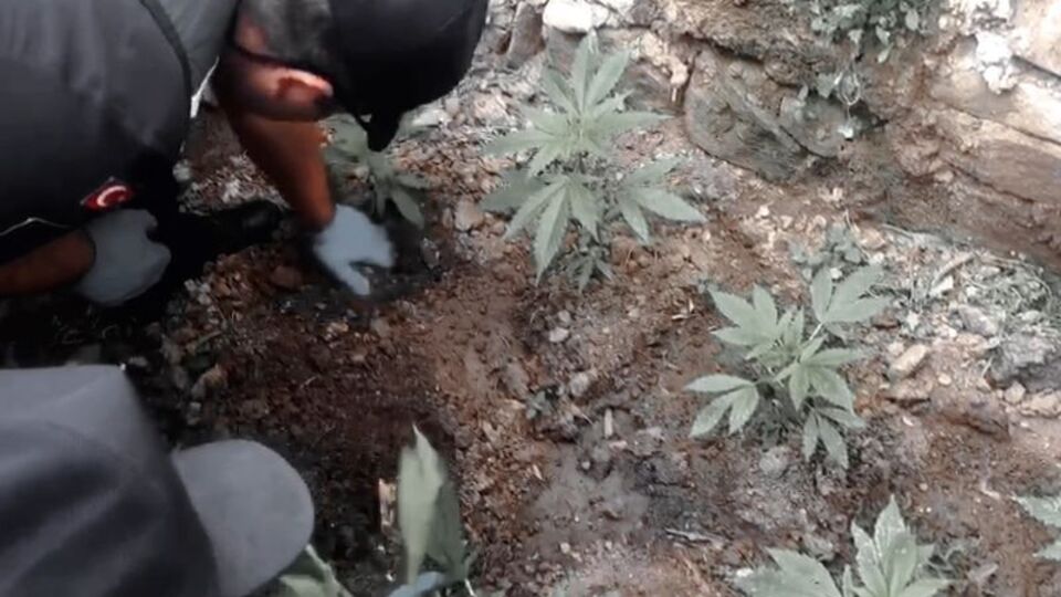 Kayseri'de uyuşturucu operasyonu: 29 gözaltı