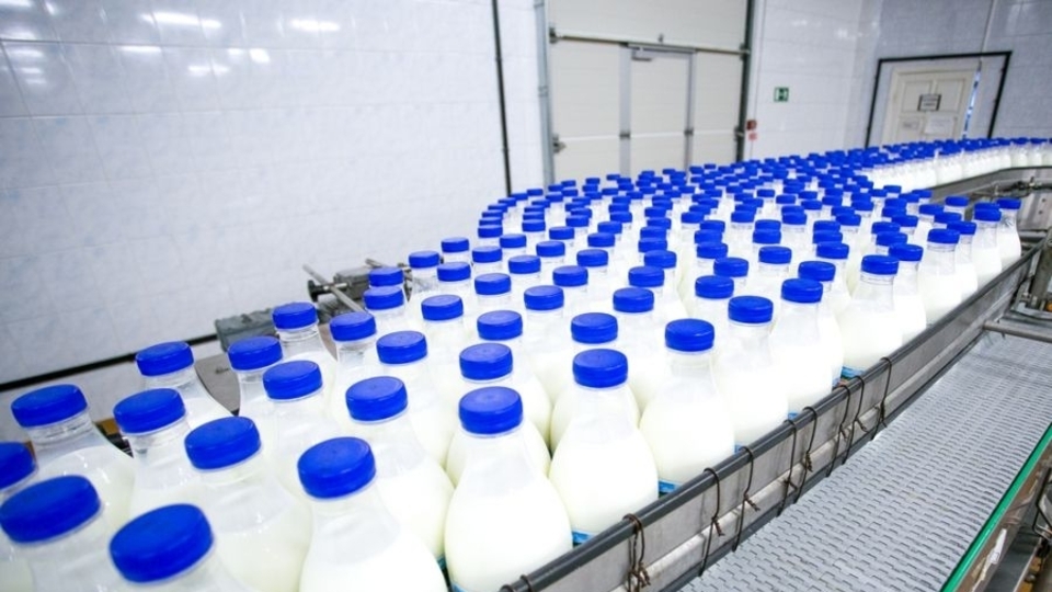 Ulusal Sütçülük Kongresi'ne İçim Süt desteği