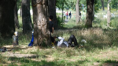 Havalar ısındı! "Keneye karşı dikkatli olun" uyarısı!