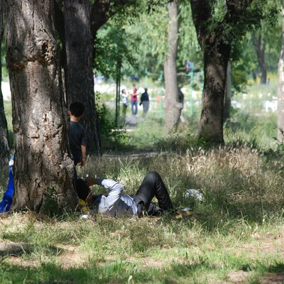 Havalar ısındı! "Keneye karşı dikkatli olun" uyarısı!
