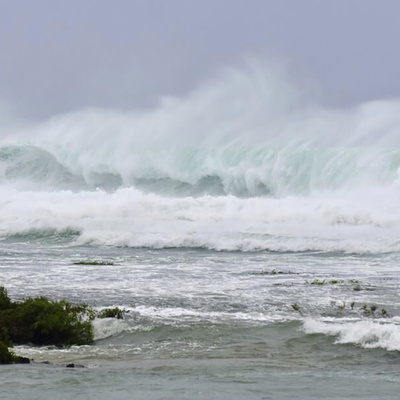 Japonya'da Mawar alarmı
