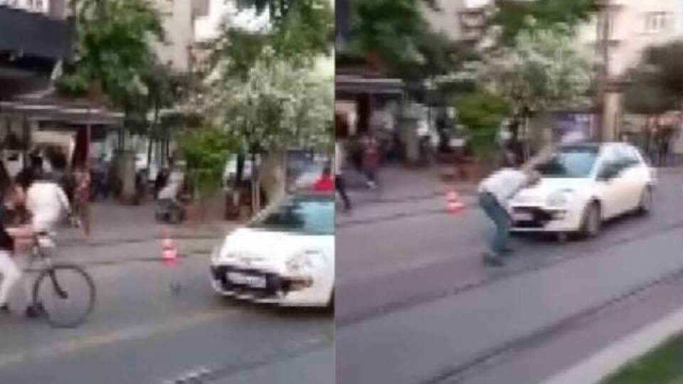 Yavru kargayı kurtarmaya çalışırken diğer kargalar saldırdı