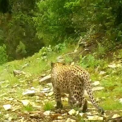 "Efsane bütün heybetiyle bu kadim topraklarda" notuyla paylaşıldı