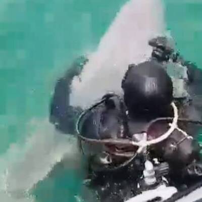 Severek sakinleştirdi... Sualtı Arama Kurtarma Timi kurtardı