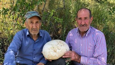 Doğada buldu... 4'er kilogram ağırlığında 2 tane!