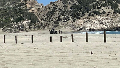 Caretta carettaların yuvalama alanına ATV ile girdiler!