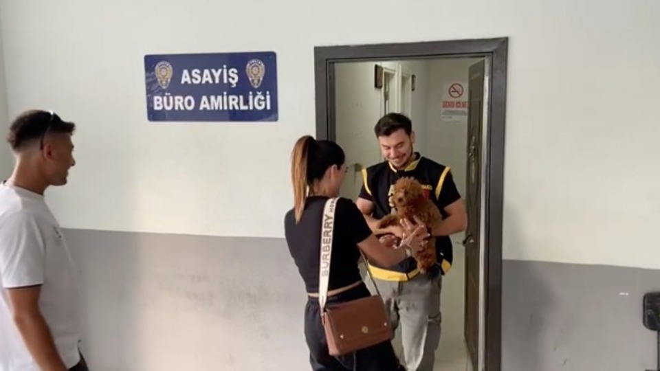 Marmaris'te kayıp köpek operasyonu