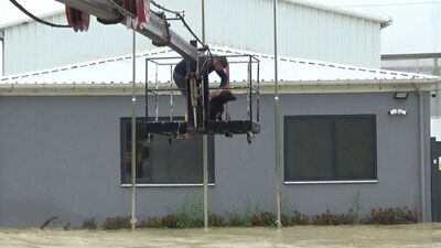 Selde mahsur kalan evcil hayvanlar kurtarıldı