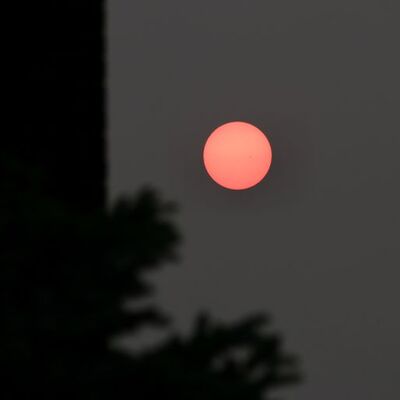 Yangınların dumanı ABD'ye ulaştı: Güneş kırmızıya döndü!