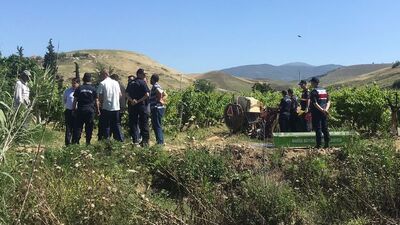 Ağaçtaki kuşa nişan aldı! Komşusunu öldürdü!